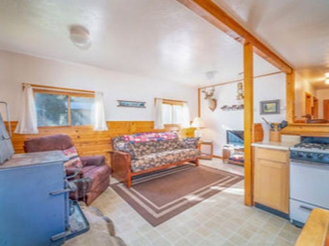 Kodiak Bear cabin living room with a wood fireplace