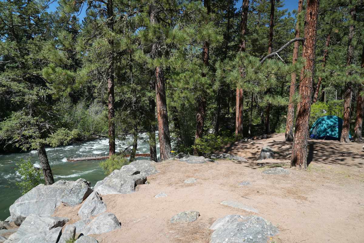 A quiet campsite among tall evergreens beside Vallecito Creek, with a picnic table and fire ring, photographed in summer 2024 before the flood.