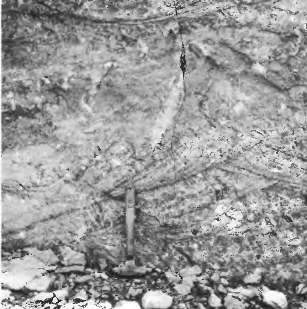 Black and white 1969 photograph of a stream-cut rock face, with a geologist's hammer propped head-down at center for scale. Pale diagonal layers run across the face and are cut off sharply by the layers above them — cross-bedding. Loose cobbles lie at the base.